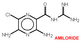 Salbutamol En El Mostrador